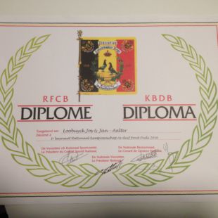 Diploma asduif