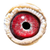 BE10-4173714_eye